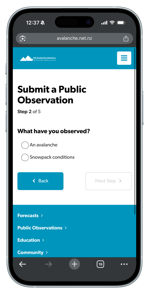 Submit a public observation