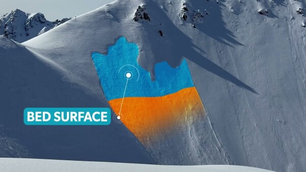 Diagram of an avalanche highlighting the bed surface